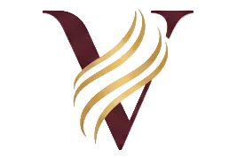 Logo Velvetset Store